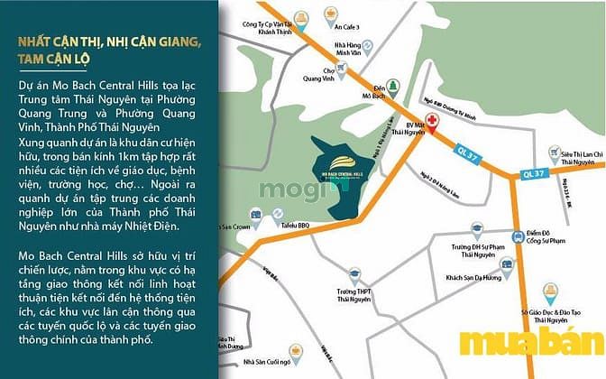 Mỏ Bạch Central Hills