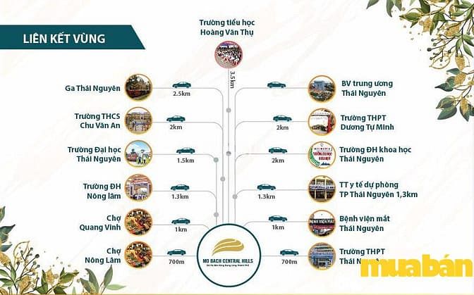 Mỏ Bạch Central Hills
