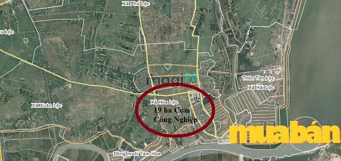 Cụm công nghiệp cảng cá Hòa Lộc