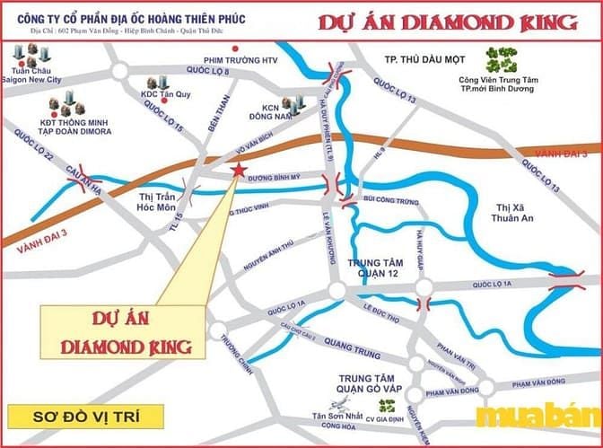 Diamond King