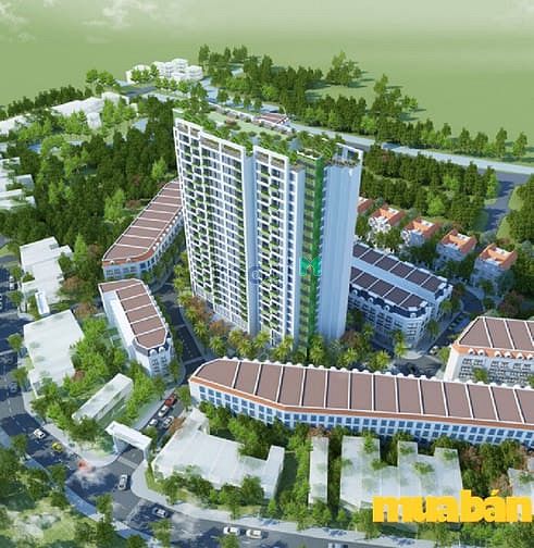 Trust City Văn Giang