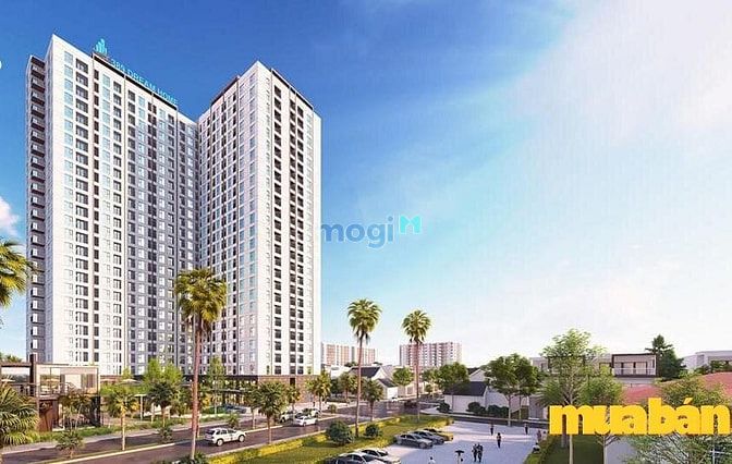 Chung cư 389 Dream Home