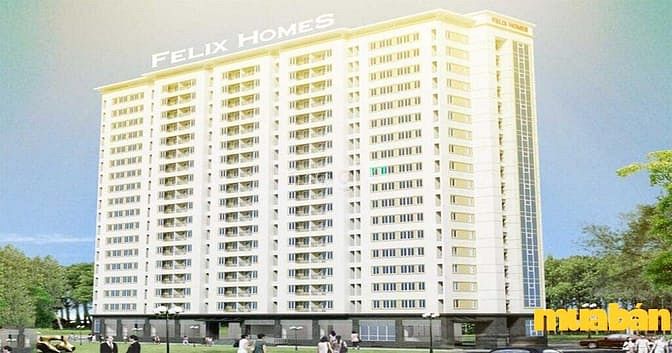 Felix Homes