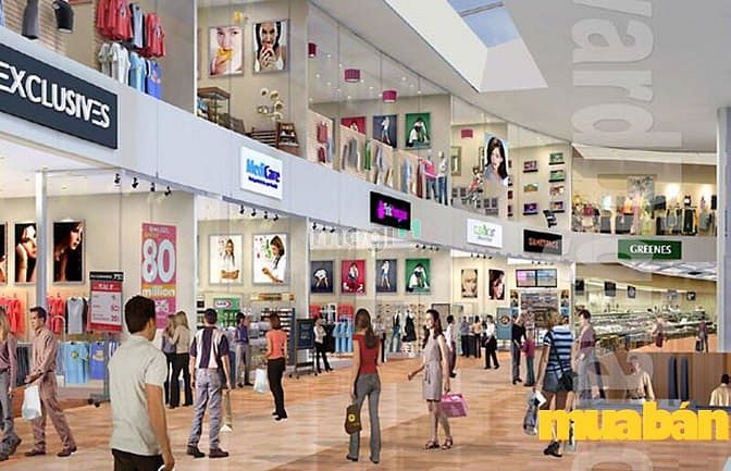 Vincity Củ Chi