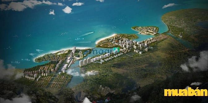 Pearl Villas
