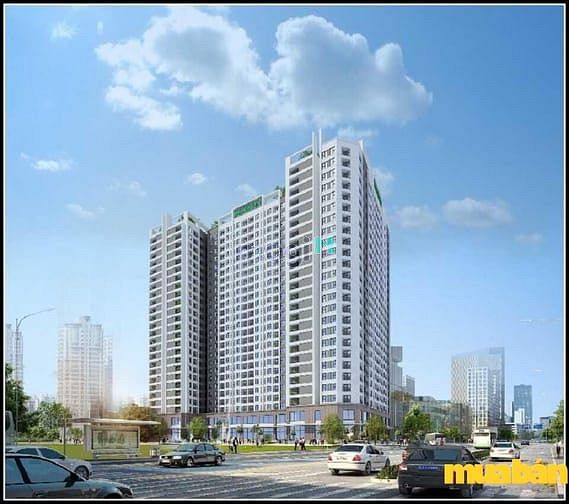 Bảo Ngọc City