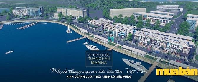 Tuần Châu Marina Hạ Long