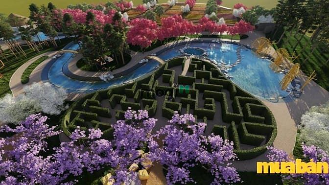 Apec Golden Valley Mường Lò