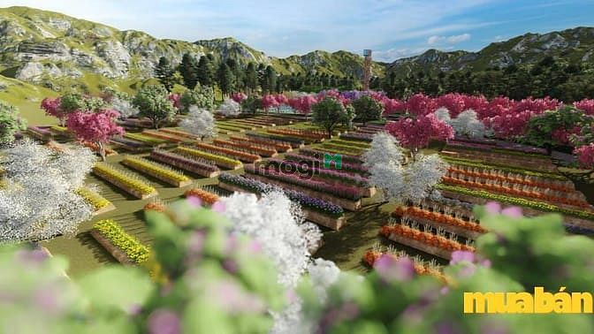 Apec Golden Valley Mường Lò