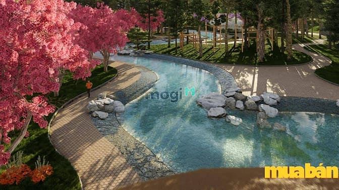 Apec Golden Valley Mường Lò