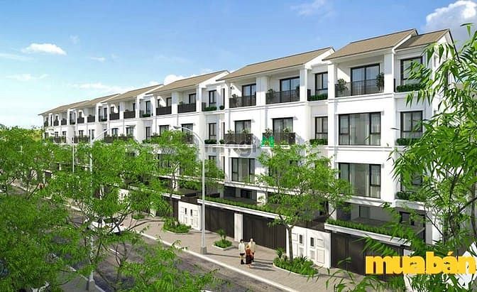 TMS Homes Wonder World