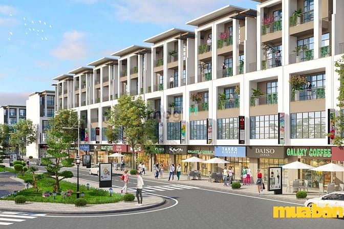 TMS Homes Wonder World
