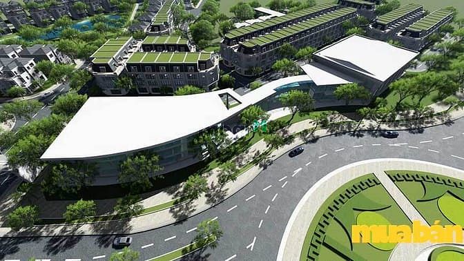 VCI Mountain View