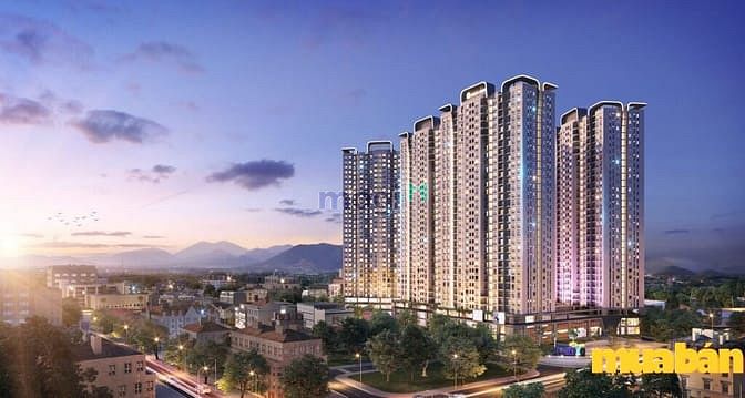 Tecco Elite City