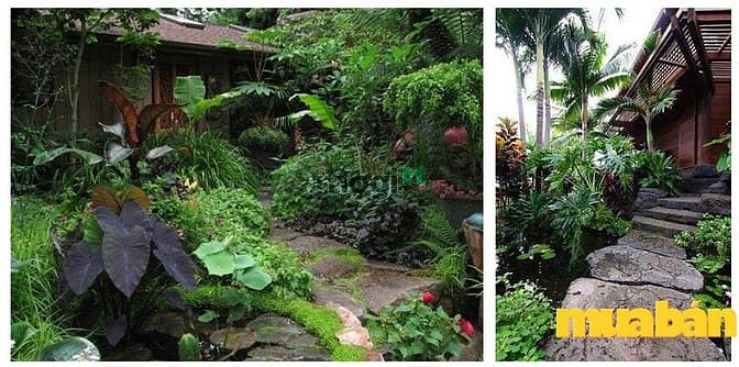 Casa Garden Hill