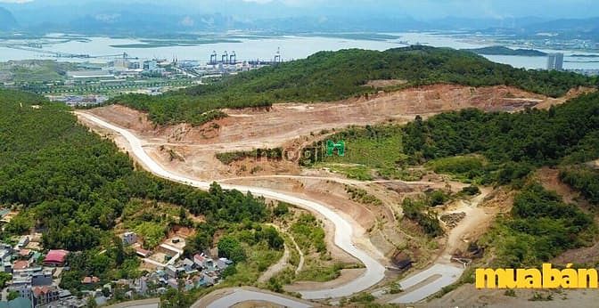 Ngôi Sao Hạ Long