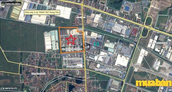 TNR Phố Nối