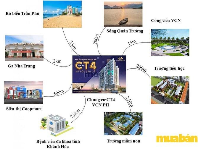 Mb6623 nạp rút nhanh chóng CT4 VCN Phước Hải