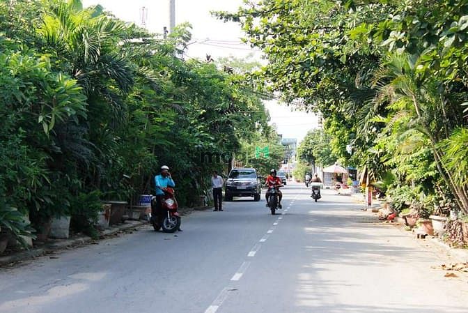 Aurora Da Nang City