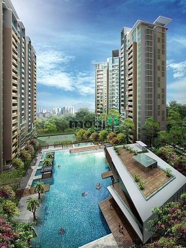 Khu Dân Cư Nam Rạch Chiếc