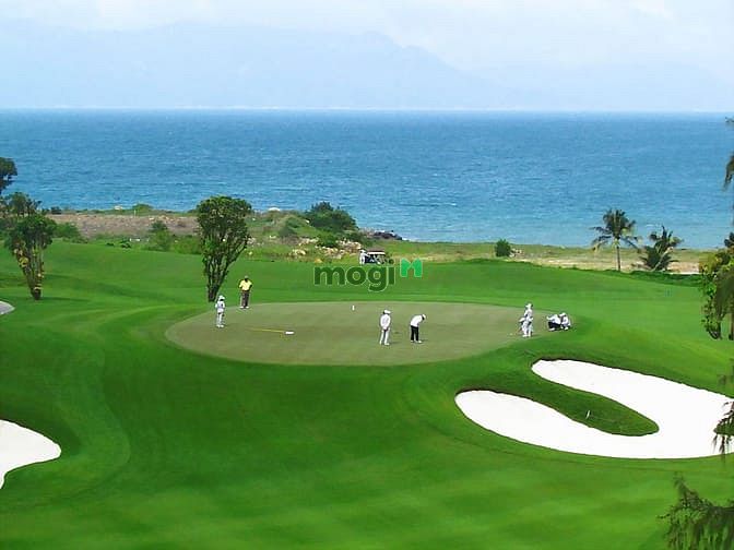 FLC Quy Nhơn