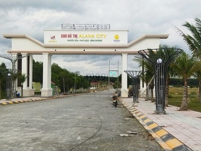 Phương Trường An 6