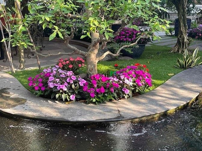 Khu biệt thự Tấn Trường