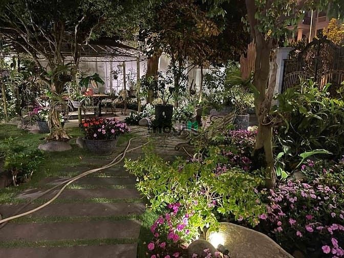 Khu biệt thự Tấn Trường