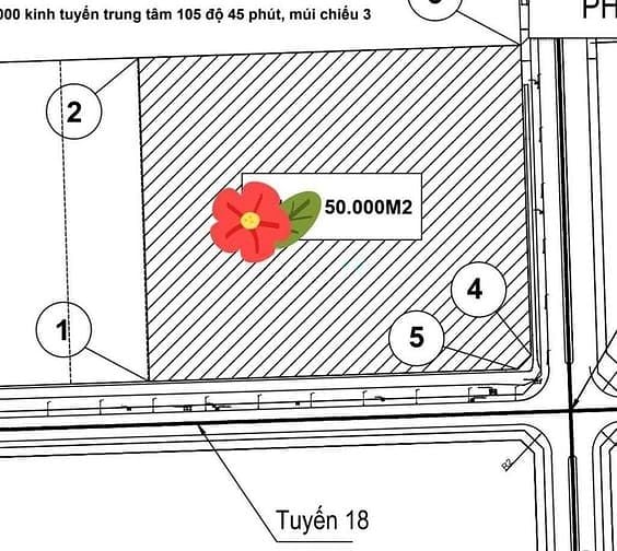 Khu Kinh Tế Nam Đình Vũ