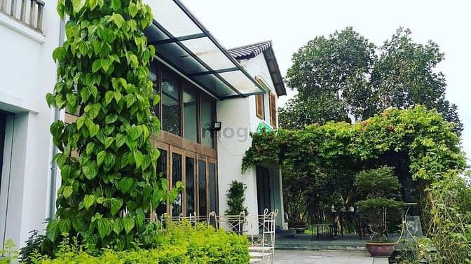 Khu Biệt Thự Hồ Yên Bài