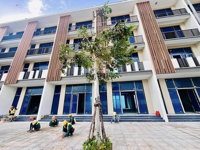 Central Avenue Quy Nhơn