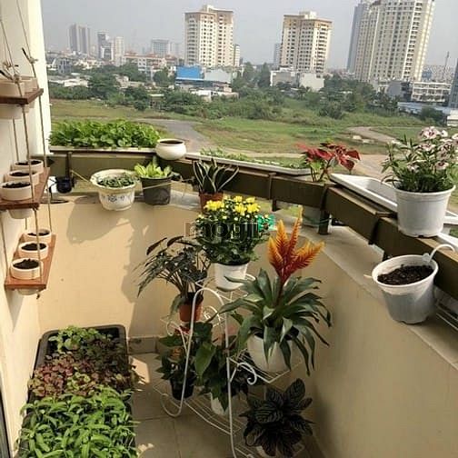 Trang Chủ MB66.COM Chính Thức An Hòa