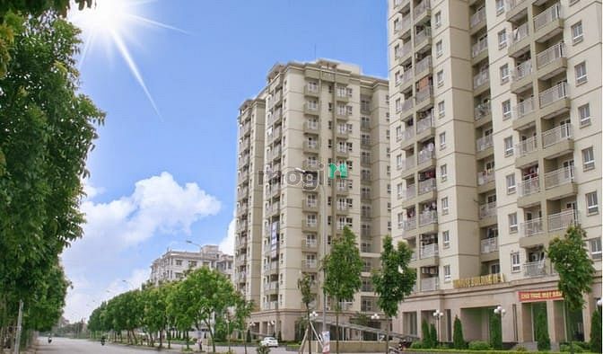 Căn Hộ Sunrise Building 3