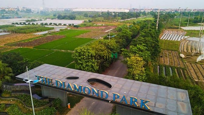 Diamond Park New