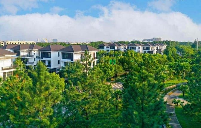 Hà Đô Charm Villas