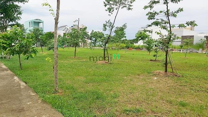 Khu tái định cư Tân Kim