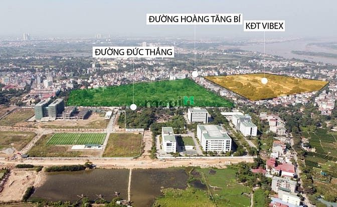 Vibex Từ Liêm