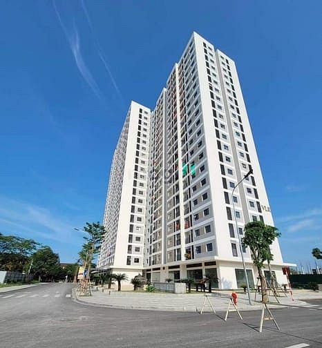 Trang Chủ MB66.COM Chính Thức - TTTM Lotus House