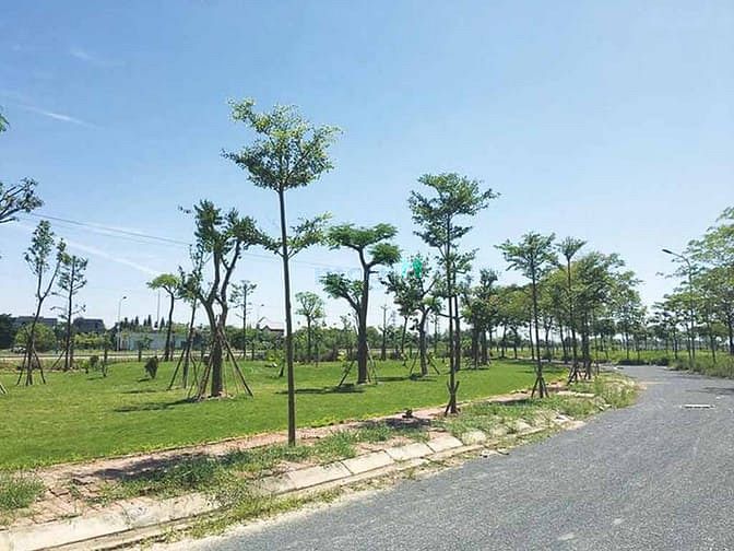 Khu Đô Thị Cienco 5 Mê Linh