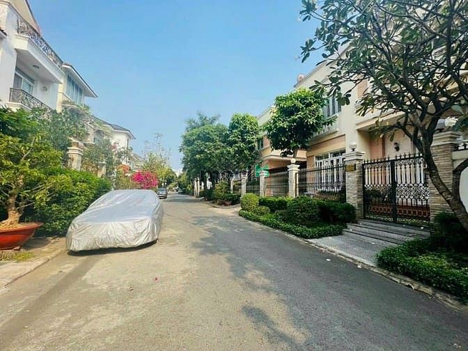 Nam Quang 2