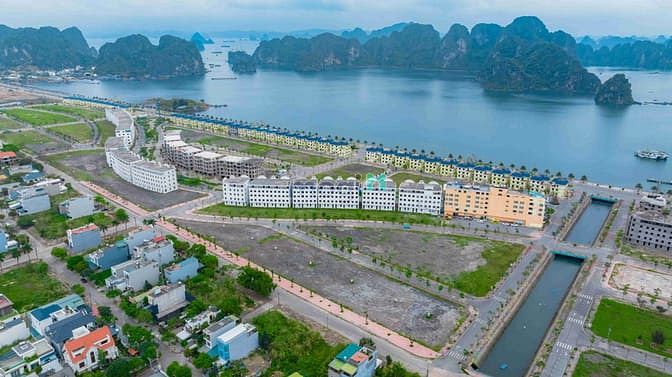 Green Dragon City