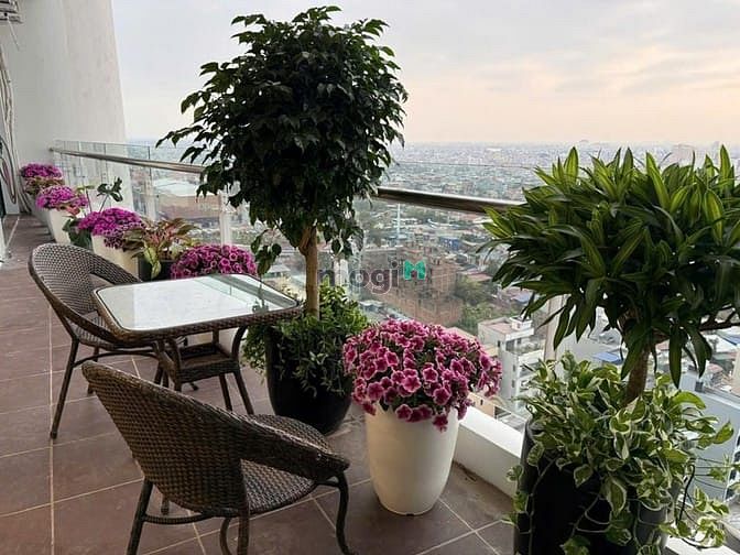 TD Plaza Hải Phòng