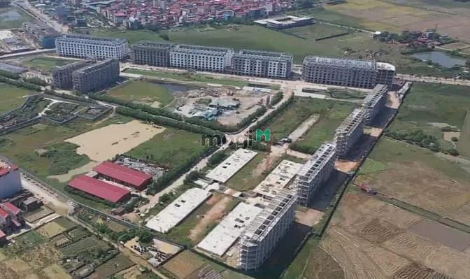 Cát Tường Smart City