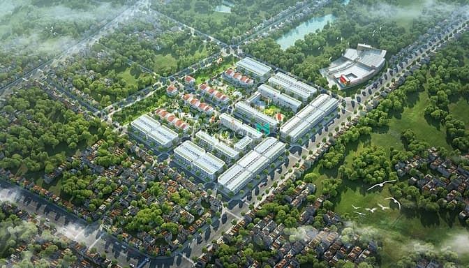 TNR Amaluna Trà Vinh