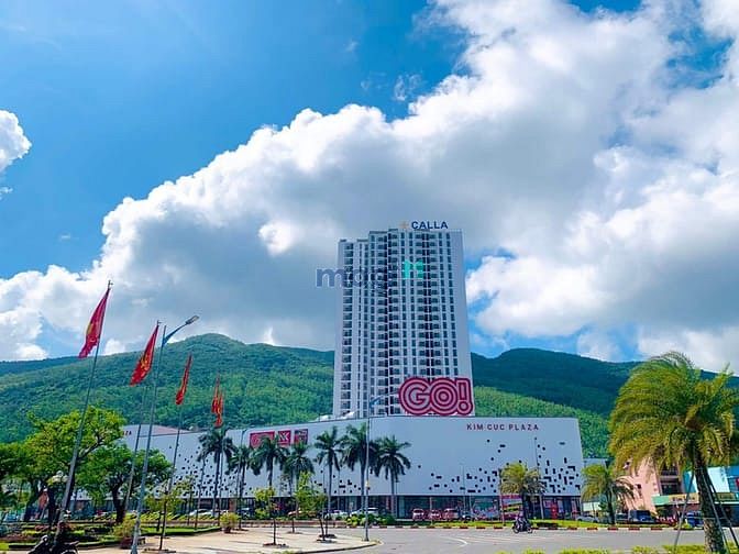 Calla Apartment Quy Nhơn