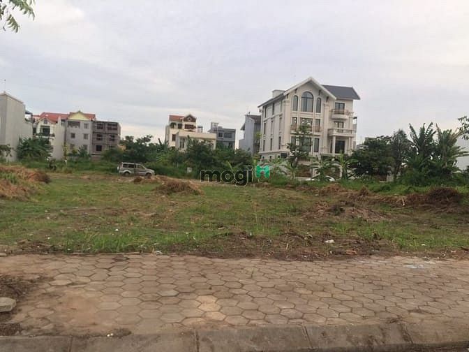 Vườn Hồng