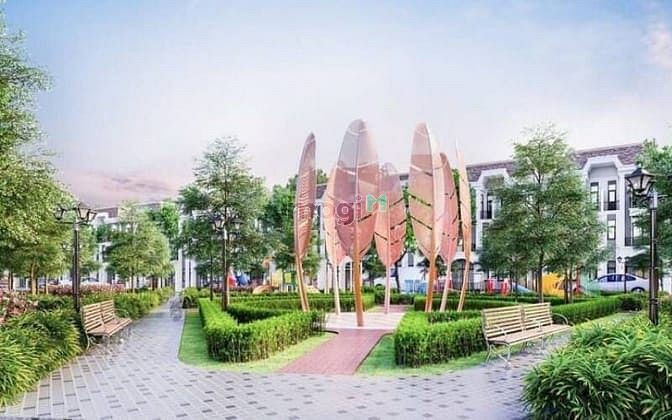 Tấn Đồ Capital