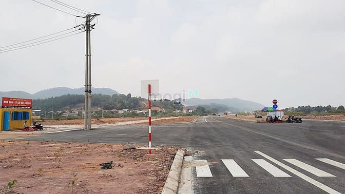 Phố chợ đa năng Cầu Tràm