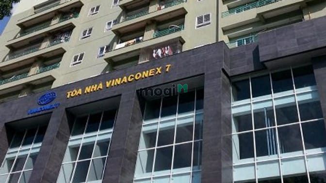Vinaconex 7