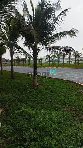 Khu đô thị Green City